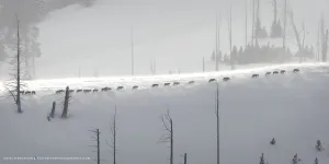 Ω Pano - Wind Swept Ridge