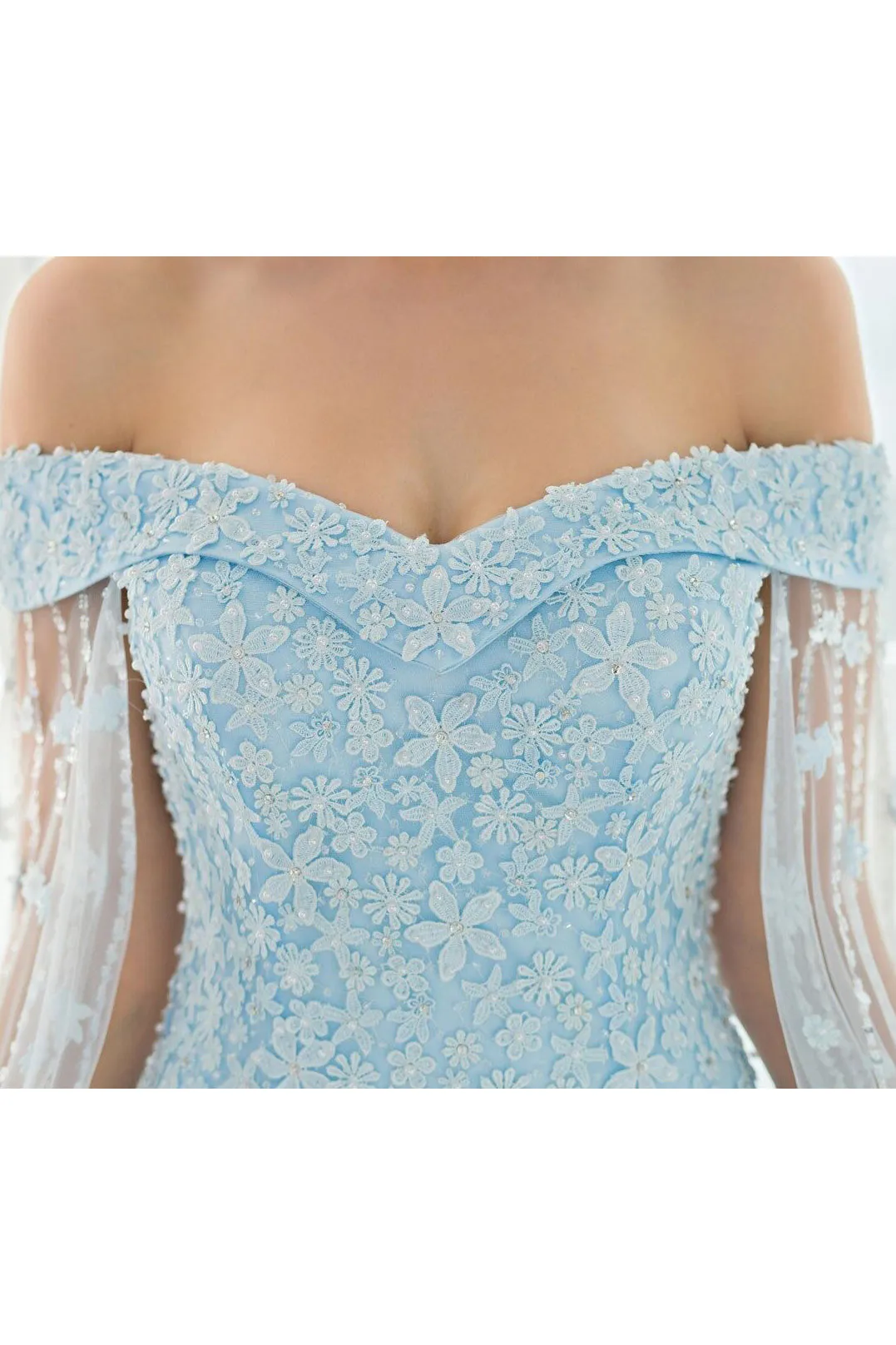 A Line Off-the-shoulder Sweep/Brush Train Sleeveless Long Tulle Prom Dress/Evening Dress OHC134