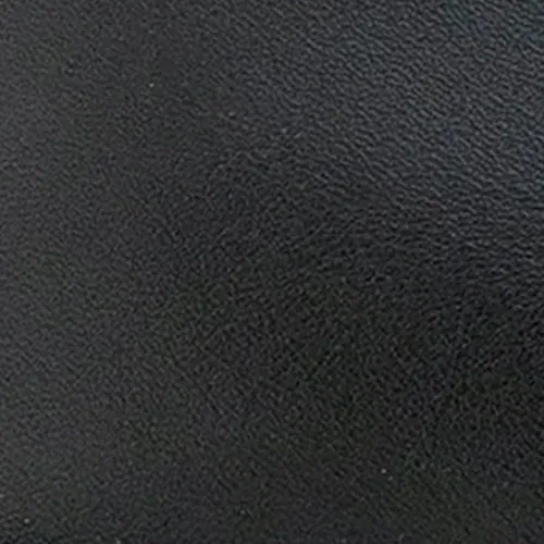 Basil *FINAL SALE*