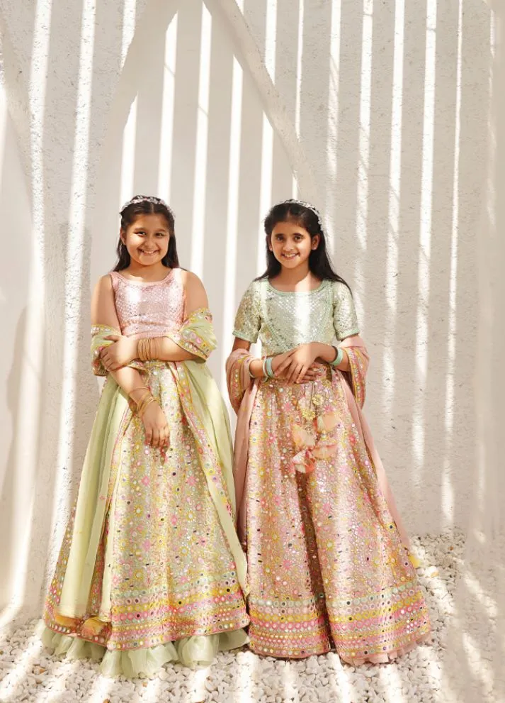 Embroidered Choli with Lehenga