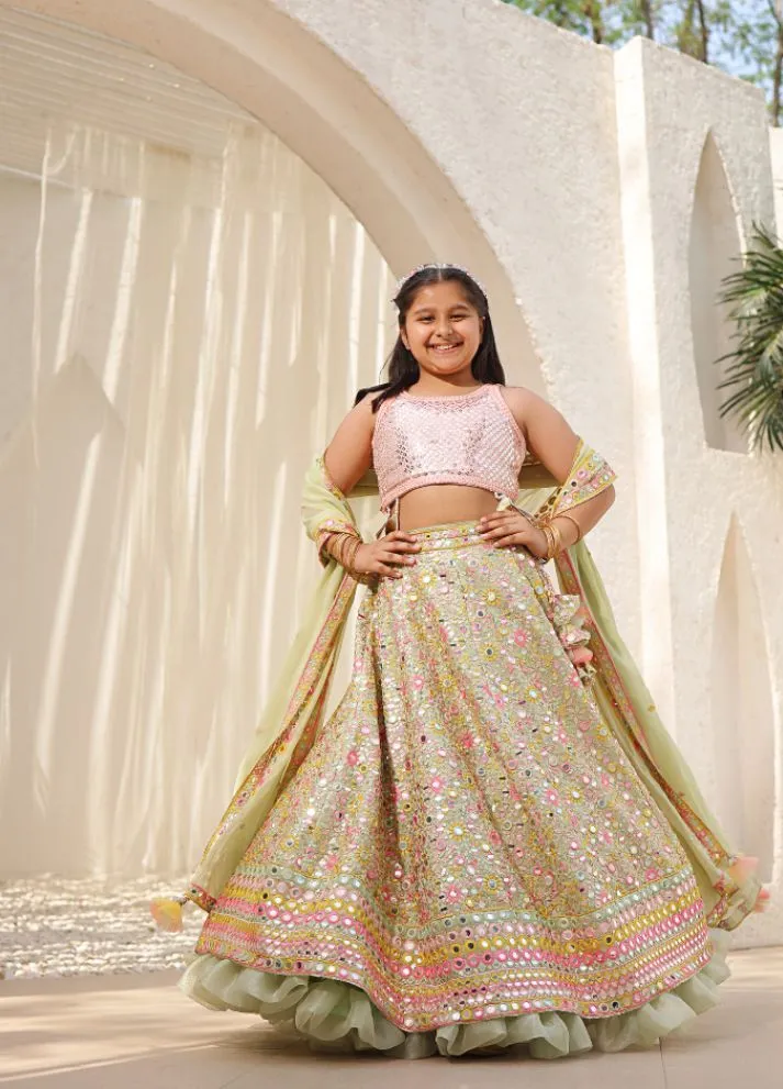 Embroidered Choli with Lehenga