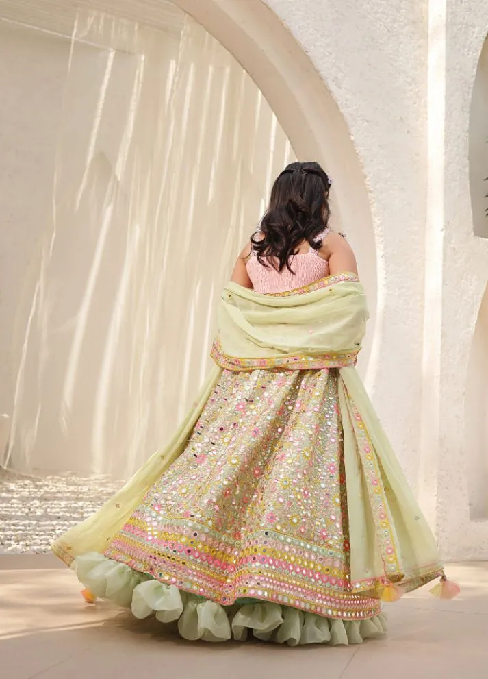 Embroidered Choli with Lehenga
