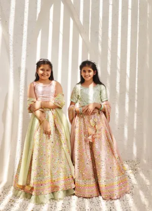 Embroidered Choli with Lehenga