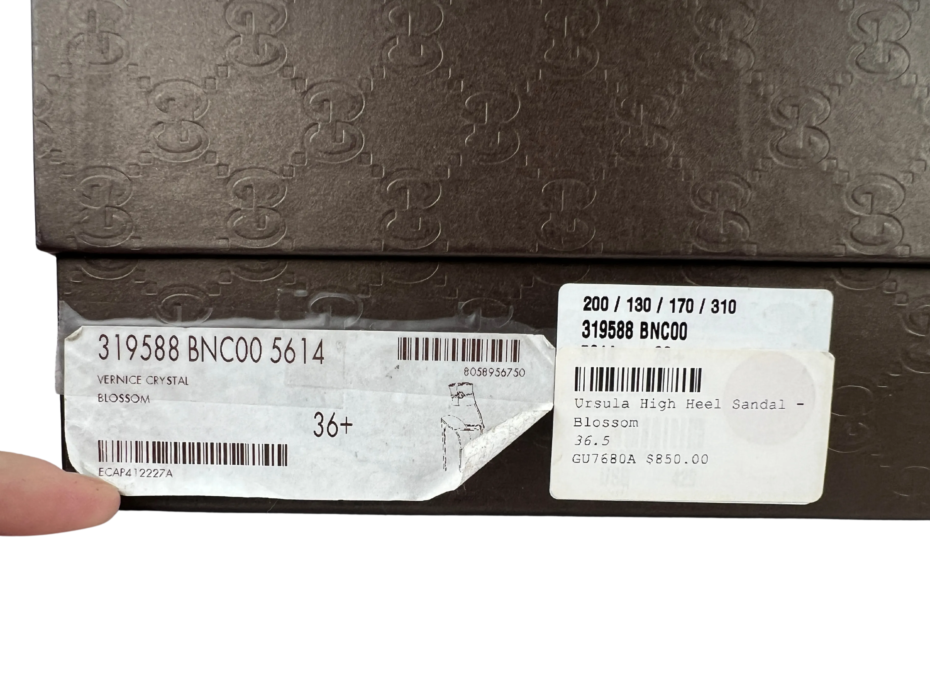Gucci Ursula High Heel Sandle in Blossom, Size 36.5 EU/ 6 US