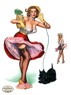 PDXC9261 -- Pin-Ups
