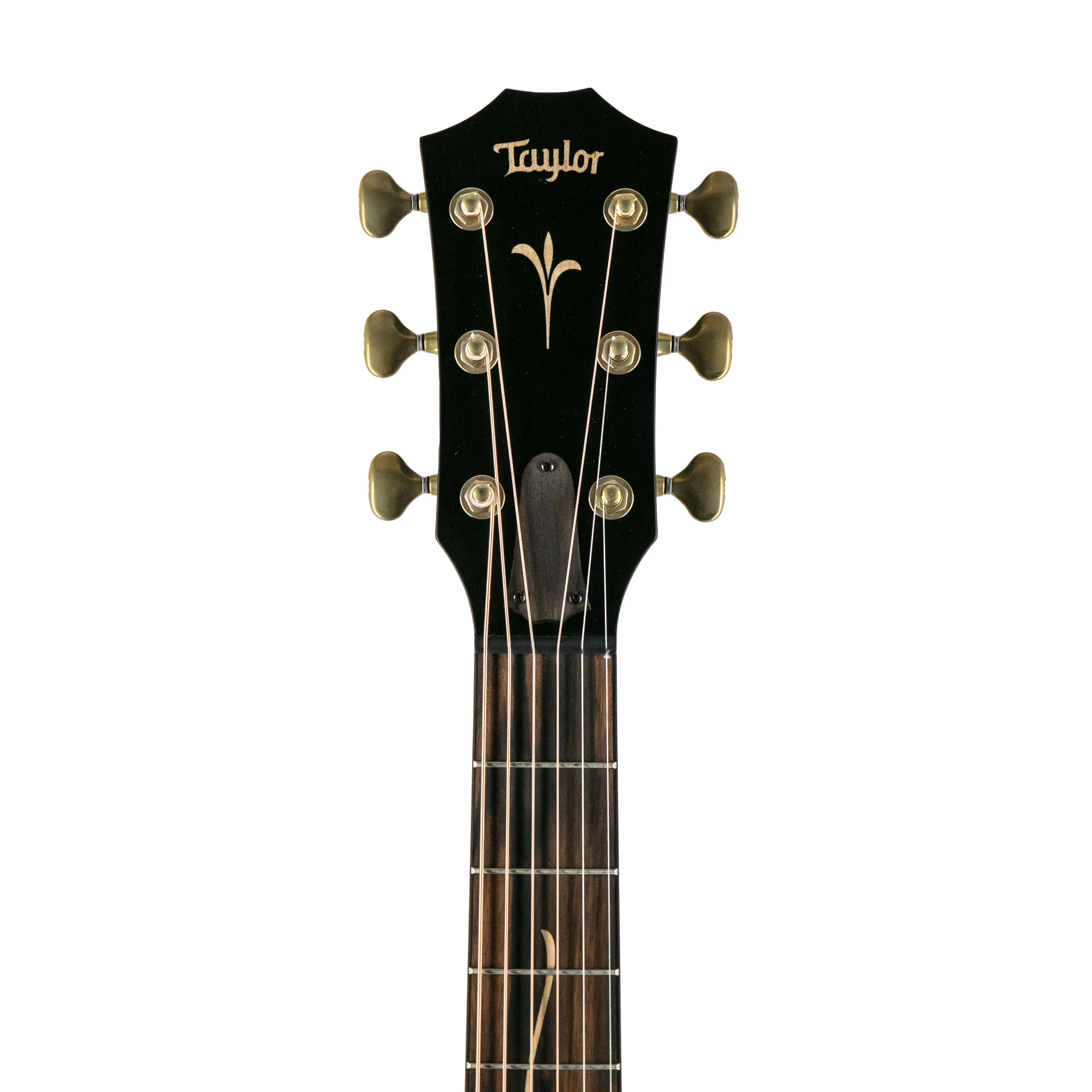 Taylor Custom Western Red Cedar/Honduran RW 12-Fret Grand Concert Acoustic Guitar w/Case